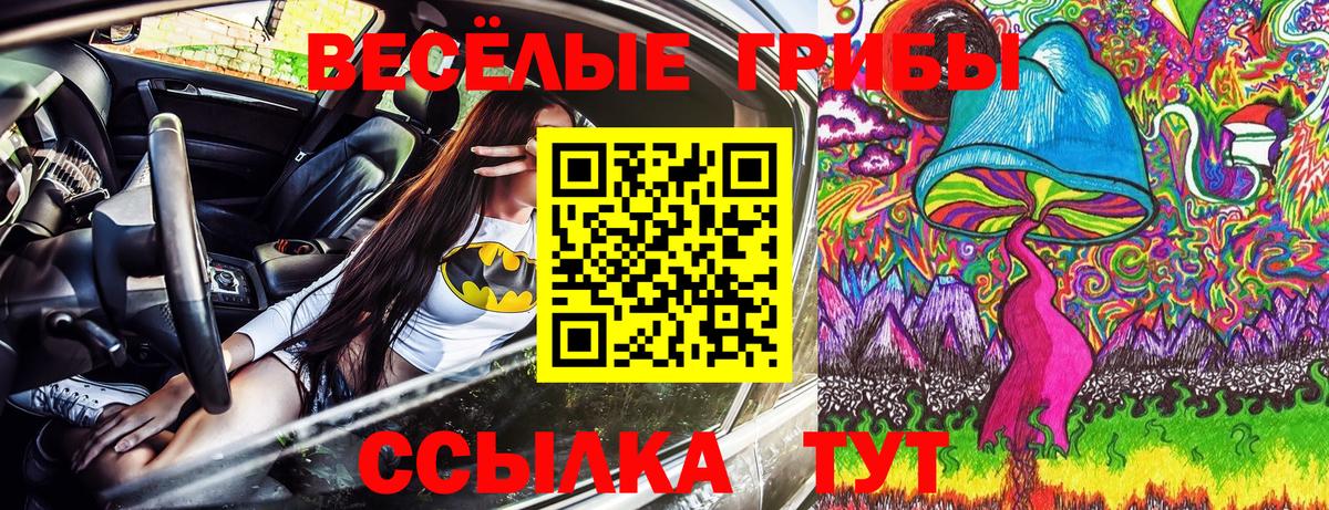Морозовск  Галлюциногенные грибы Cubensis  Псилоцибиновые грибы мухоморы  Вход с VPN 
